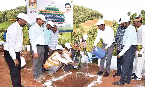 நீலகிரியில் 1000 மரக்கன்றுகள் நடவு