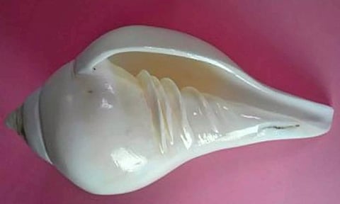 ஆன்மீகத்தில் சங்கு