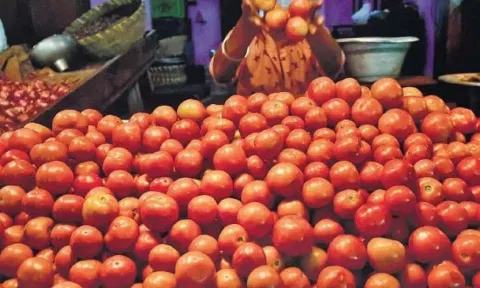 தக்காளி விற்பனை செய்யப்பட்ட காட்சி.&nbsp;