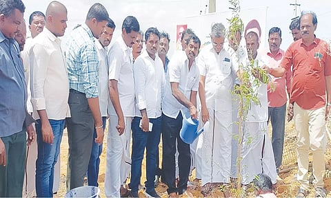 மரக்கன்றுகளை வி.எஸ்.ஆர். ஜெகதீஷ் நட்ட காட்சி.