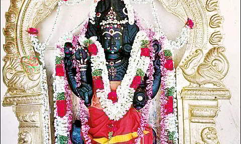 பூம்புகார் சாயாவனேஸ்வரர் கோவிலில் பைரவருக்கு சிறப்பு வழிபாடு