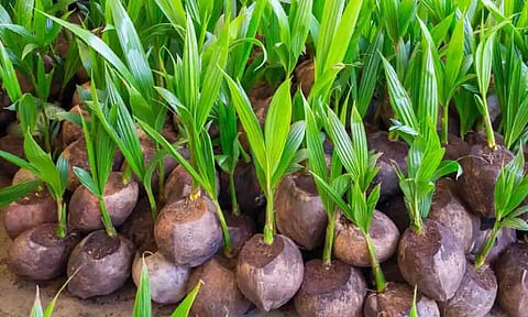 கோப்புபடம்.