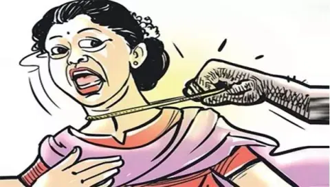 பெண்ணிடம் 7 பவுன் நகை பறித்து சென்ற வாலிபர்