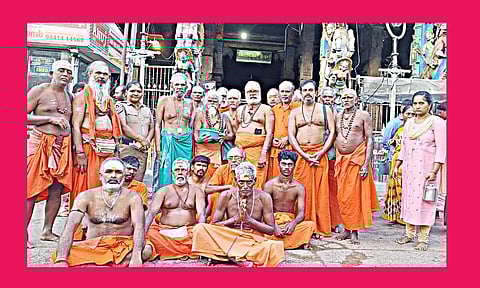 அறுபடை வீடுகளுக்கு செல்லும் பாதயாத்திரை குழு