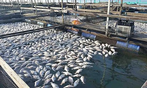 கோப்புபடம்.