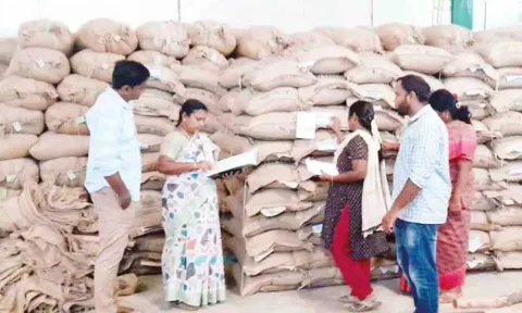 தாராபுரம் வட்டார பகுதியில் உள்ள விதை நெல் நிலையத்தில் அதிகாரிகள் ஆய்வு செய்த போது எடுத்த படம்.