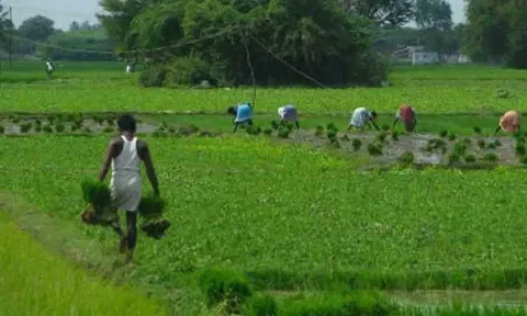 கோப்புபடம்