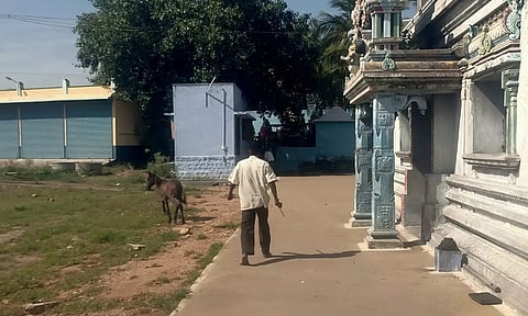 பத்ரகாளியம்மன் கோவிலில் பக்தர்கள் கூட்டத்தில் புகுந்த குதிரை