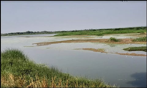 வீராணம் ஏரியில்  நீர்மட்டம் குறைவாக உள்ள காட்சி