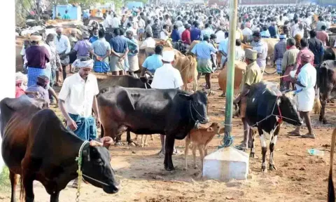 கோப்புபடம்.