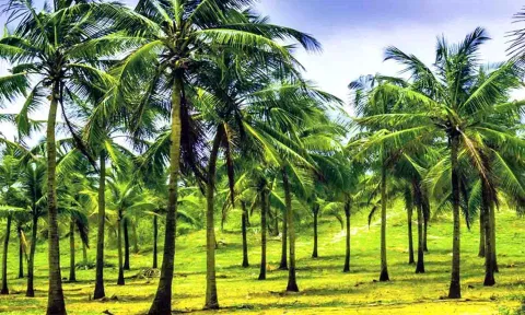 கோப்புபடம்.