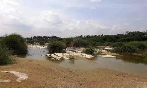 கோப்புபடம்.