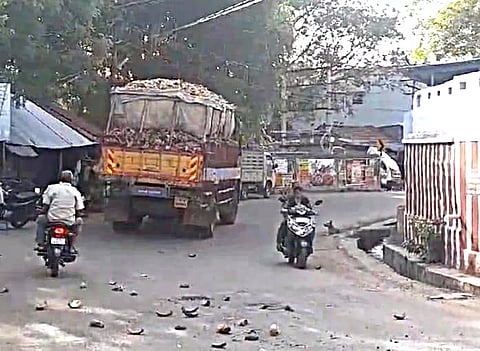 ஆபத்தான முறையில் லாரியில் கொண்டு செல்லும் தென்னை மட்டைகள்.