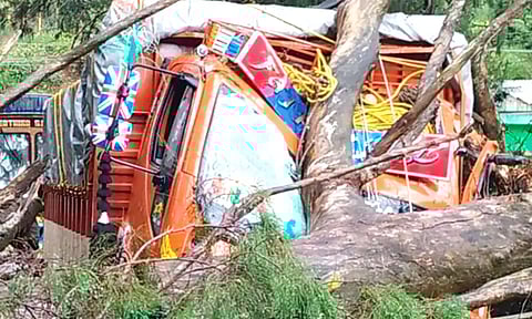 கோத்தகிரி- குன்னுார் சாலையில்  மரம் முறிந்து லாரி மீது விழுந்தது