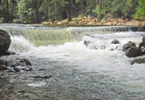 பராமரிப்பு பணிகளுக்காக களக்காடு தலையணை மூடல்-வனத்துறை அறிவிப்பு