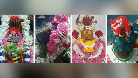 கோப்பணம்பாளையம் பரமேஸ்வரர், நந்தி பெருமான், பரமத்திவேலூர் எல்லையம்மன் ஆலயத்தில் உள்ள ஏகாம்பரநாதர், நந்தி பெருமான் சிறப்பு அலங்காரத்தில் இருந்த போது எடுத்த படம்.