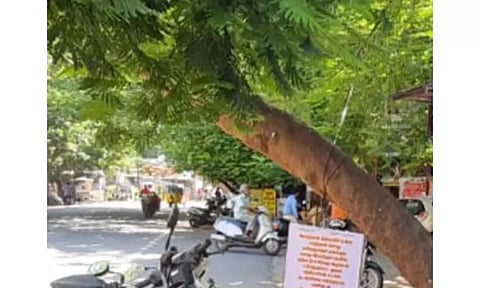 மரத்தை அகற்ற கோரி வைக்கப்பட்டுள்ள நூதன பேனர்