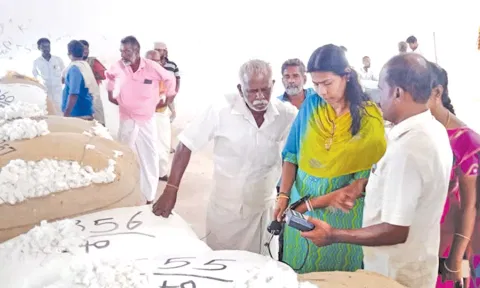 பாபநாசம் ஒழுங்குமுறை விற்பனை கூடத்தில் பருத்தி ஏலம் நடைபெற்றது.