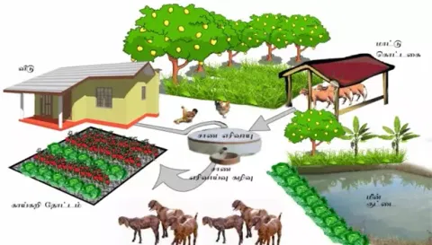 கபிலர்மலை வட்டார விவசாயிகளுக்கு ஒருங்கிணைந்த பண்ணையம் அமைத்திட மானியம்