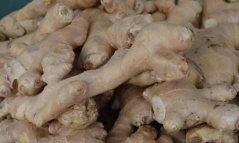 வரத்து குறைவு எதிரொலி- மேட்டுப்பாளையம் மார்க்கெட்டில் இஞ்சி விலை உயர்வு