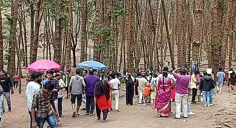 பைன் பாரஸ்ட் பகுதியில் குவிந்த சுற்றுலா பயணிகள்.