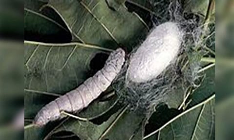 கோப்புபடம்