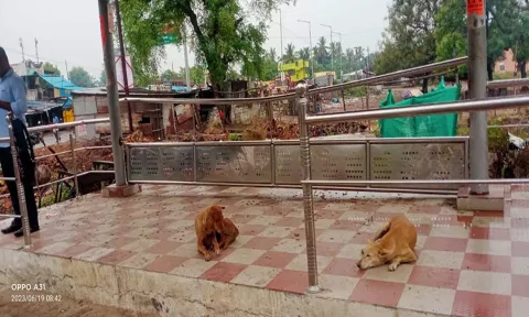 மடப்பட்டு பஸ் நிறுத்த பயணியர் நிழற்குடையில் வைக்கப்பட்டிருந்த இரும்பு சேர்கள் திருடப்பட்டது, இதனால் பயணிகள் பயணியர் நிழற்குடை சேர்கள் இன்றி வெறிச்சோடி உள்ளதை படத்தில் காணலாம்.