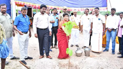 விழாவில் கலெக்டர் ஆஷா அஜீத் மரக்கன்று நடும் திட்டத்தை தொடங்கி வைத்தார்.
