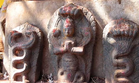 தோல் வியாதிகளை தீர்க்கும் நாகராஜர்