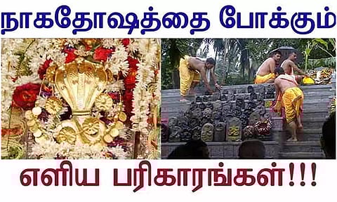 போகர் கூறிய எளிய பரிகாரம்