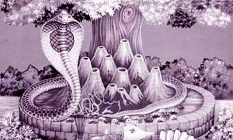 நாகத்தை பார்த்தால் யோகம் தெரியும்