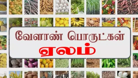 அரசு வேளாண் ஒழுங்கு முறை விற்பனை கூடத்தில்வேளாண் பொருட்கள் ரூ.32.76லட்சத்துக்கு விற்பனை