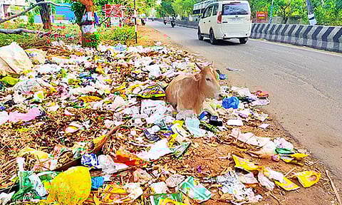 தென்காசியில் காற்றில் பறக்கும் குப்பைகள்