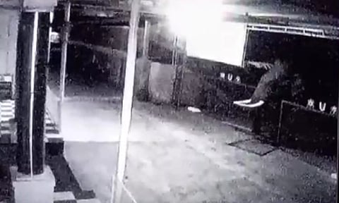 கதவை உடைத்து கோவிலுக்குள் நுழைந்த பாகுபலி யானை