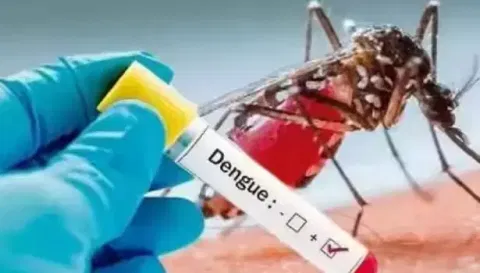 டெங்கு காய்ச்சல் தடுப்பு நடவடிக்கைகள் தீவிரம்