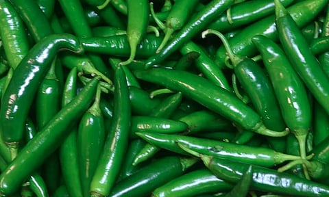 பொள்ளாச்சியில் வரத்து குறைவால் கூடுதல் விலைக்கு விற்பனையான பச்சை மிளகாய்