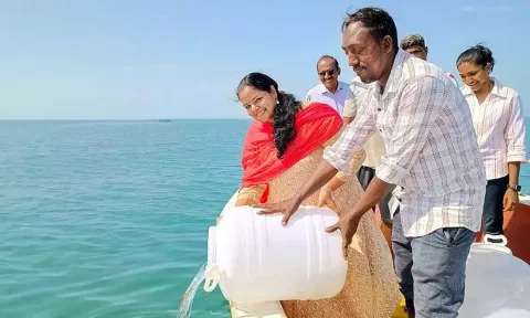 மன்னாா் வளைகுடா கடலில் பிரதம மந்திரி மீன்வள மேம்பாட்டுத் திட்டத்தின் கீழ் 16 லட்சம் பச்சை வரி இறால் குஞ்சுகள் கடலில் விடப்பட்டன.