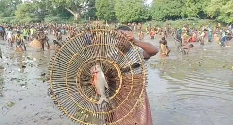 கண்மாயில் மீன்பிடி திருவிழா