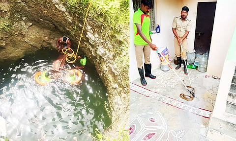 கொங்கிராம்பட்டு ஏரிக்கரை அருகே கிணற்றில் விழுந்த மாடுகளை கயிறு கட்டி மீட்கப்பட்டது. வீட்டில் புகுந்த பாம்பை பிடித்த காட்சி.