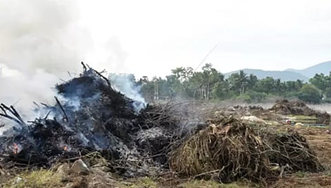 அல்லிக்குட்டை ஏரி பகுதியில் புதர்களுக்கு தீ வைக்கப்பட்டுள்ள காட்சி.&nbsp;
