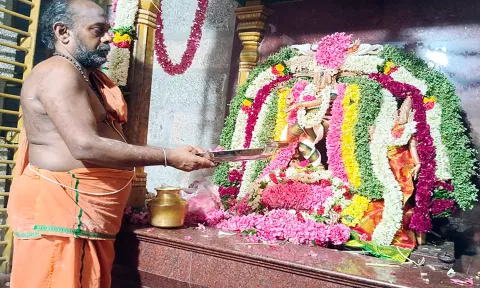 சென்னிமலை கைலாசநாதர் கோவிலில் ஆனி திருமஞ்சன விழா
