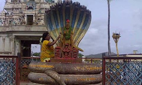நலம் தரும் நாக சதுர்த்தி