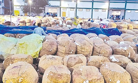 மழையில் நனைந்த பருத்தி மூட்டைகள்.