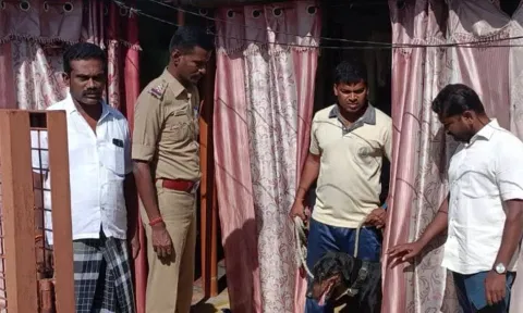 பெண்ணிடம் நகை பறித்த வீட்டிற்கு துப்பறியும் மோப்ப நாய் வரவழைக்கப்பட்டு சோதனை நடத்திய காட்சி.