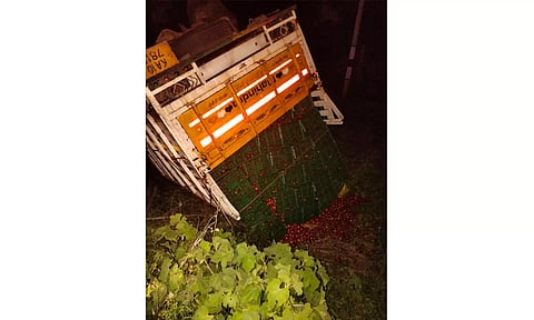 தக்காளி ஏற்றி வந்த வேன் ரோட்டோர பள்ளத்தில் கவிழ்ந்தது