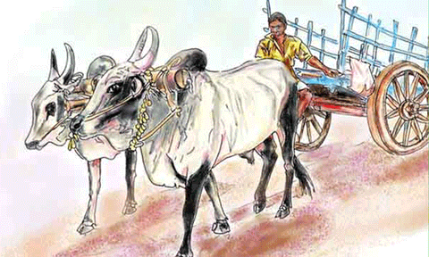 மாட்டுவண்டி பந்தயம்
