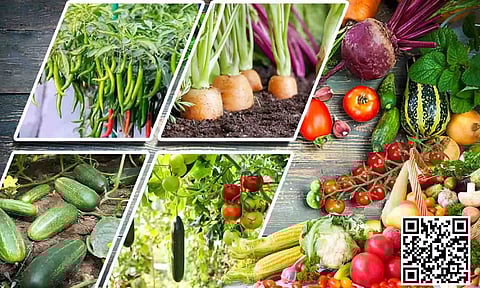 கோப்பு படம்