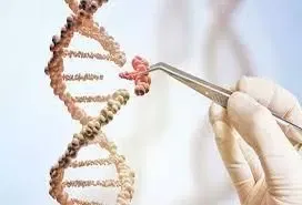 டி.என்.ஏ.பரிசோதனைக்கு 8 பேர் மீண்டும் மறுப்பு