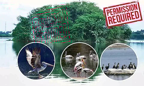 கோப்பு படம்