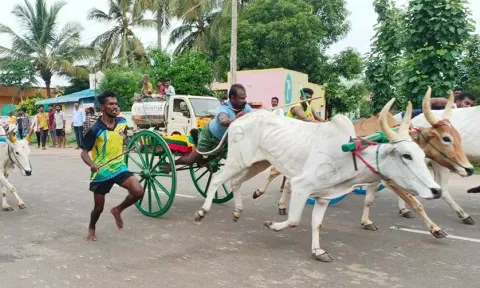 போட்டியில் சீறிப்பாய்ந்த கானைகள்